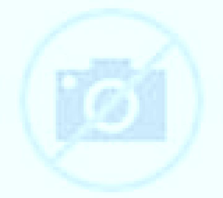 Andrea 2 Empedrado escort