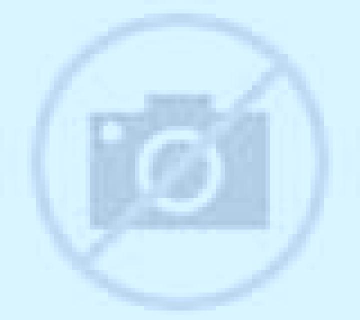 Antonia Putaendo escort