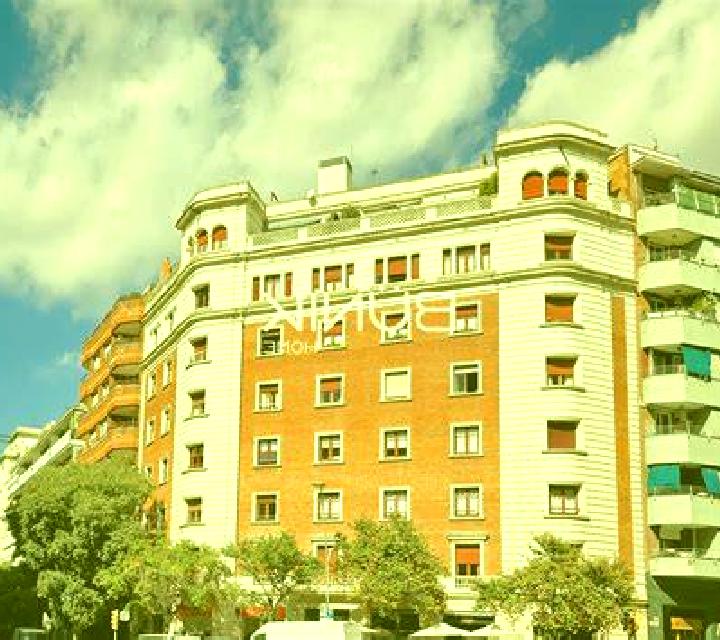 Bianca Puren escort