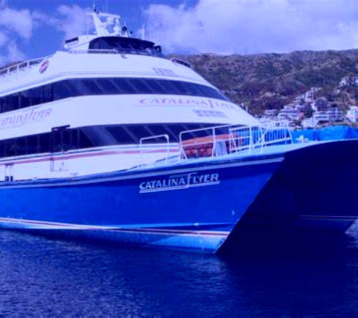 Catalina Colbun escort