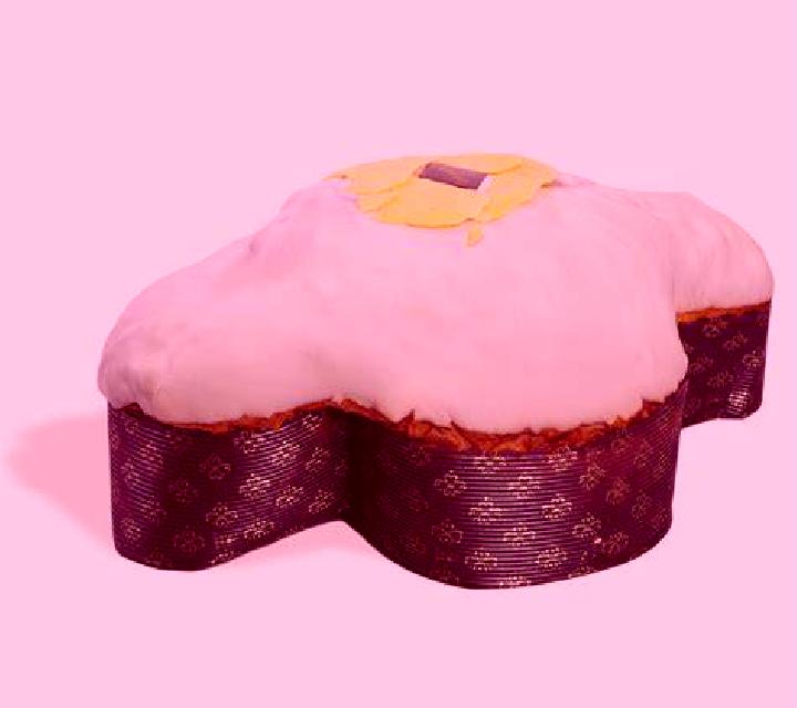 Colomba Illapel escort