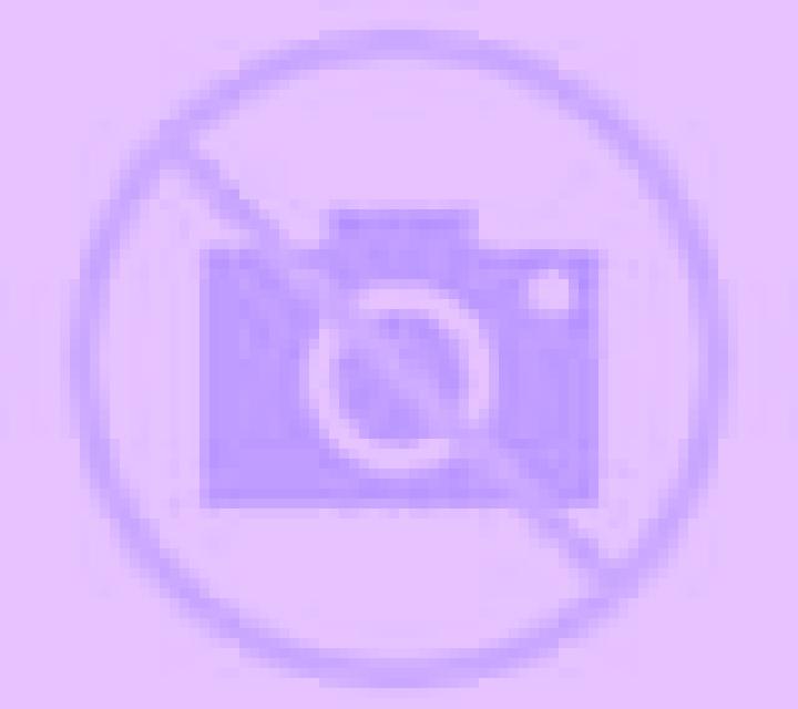 Cony 2 Huasco escort