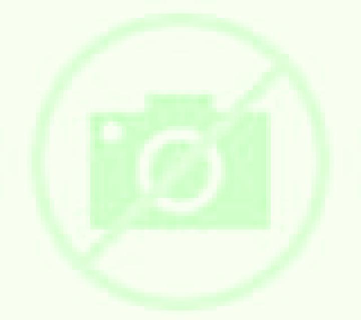 Florencia 3 Lota escort