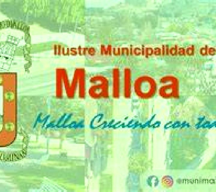 Florencia Rinconada de Malloa escort