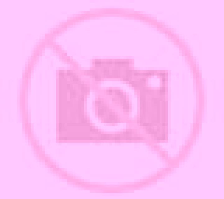Gabriela Camina escort