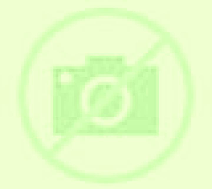 Javiera 2 Quillon escort