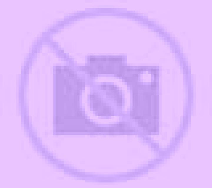 Javiera 3 Chonchi escort