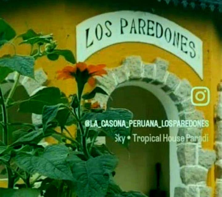 Karis Paredones escort
