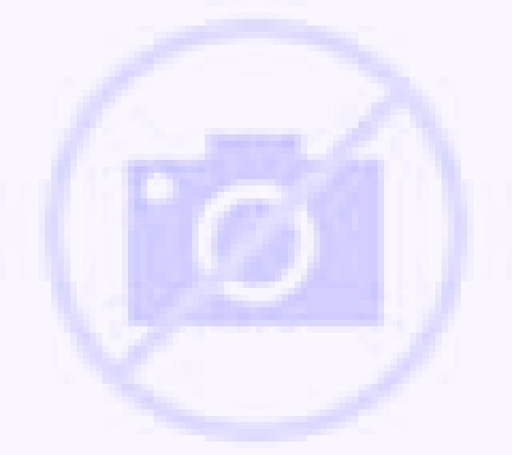 Katia Curarrehue escort
