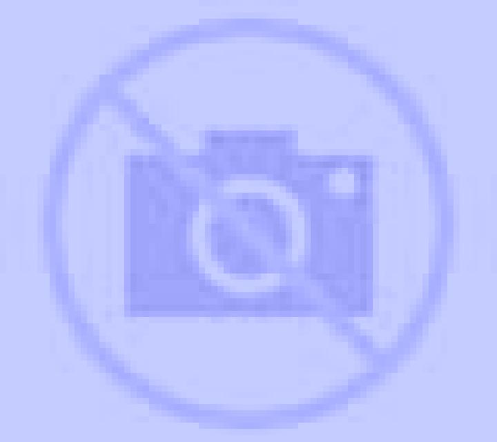 Lola Constitucion escort