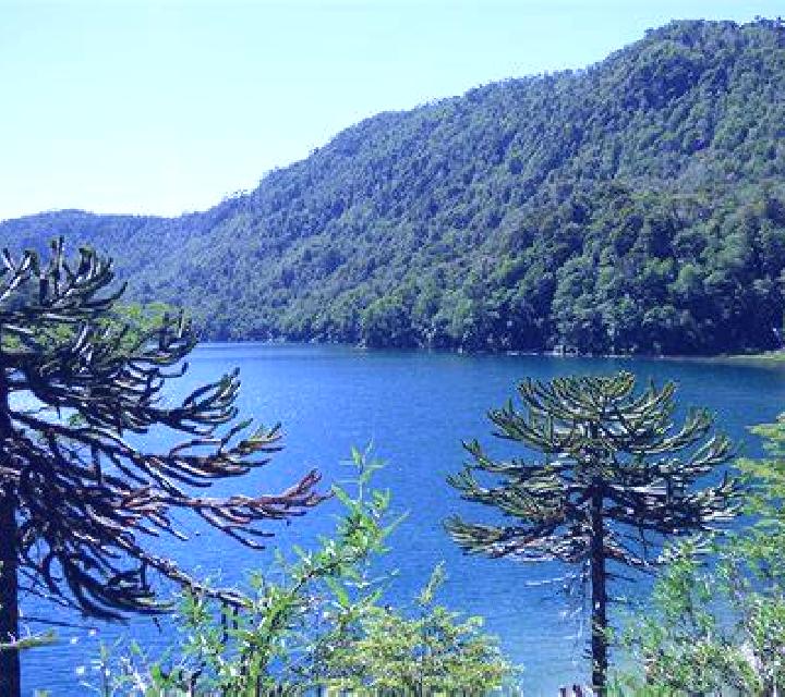 Macarena Lago Verde escort