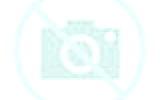 Martina Pirque escort
