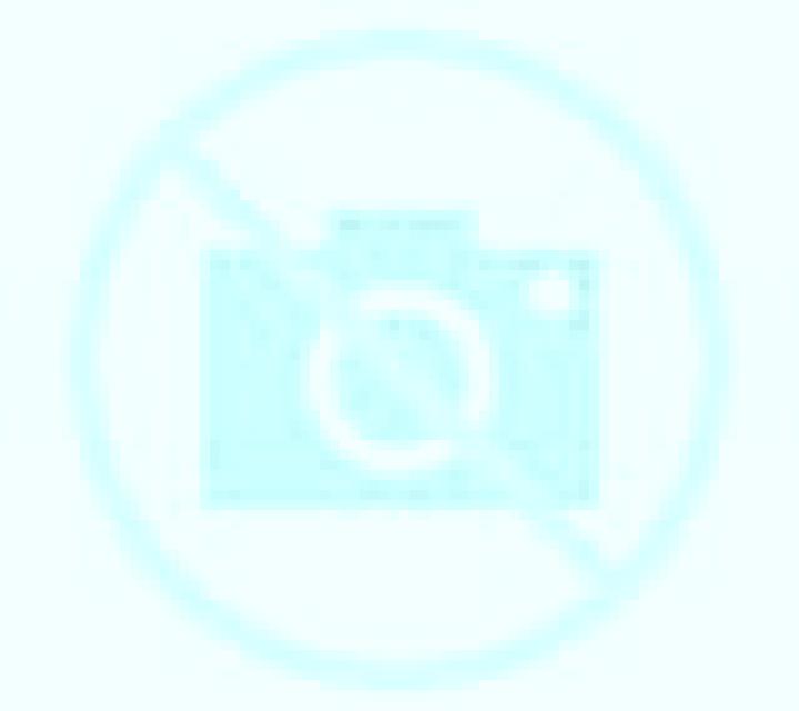 Paulina Puerto Aysen escort