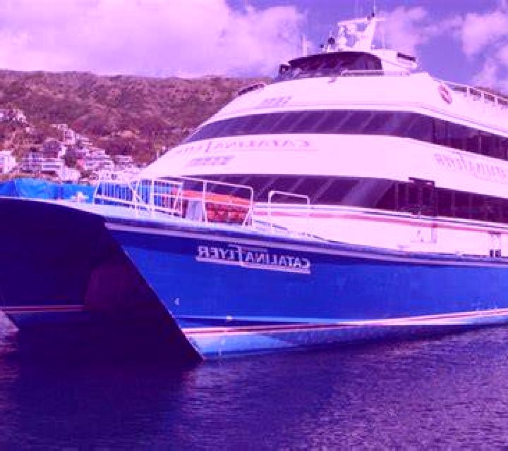 Regina 3 Pichidegua escort