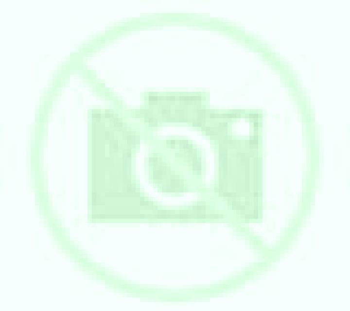 Salma 2 Arauco escort