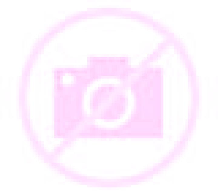 Valentina Nogales escort