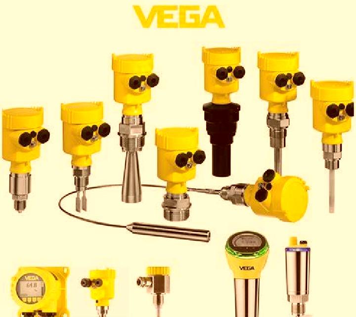 Vega Curacautin escort