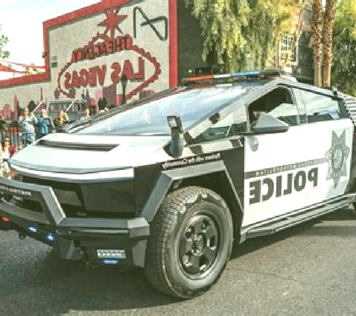 Vega Maule escort