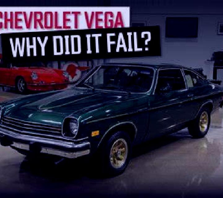 Vega Rauco escort